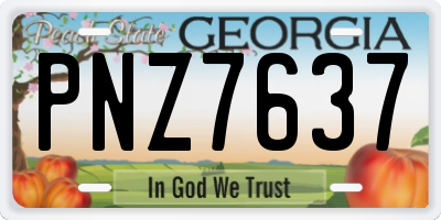 GA license plate PNZ7637