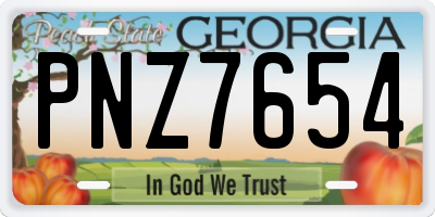 GA license plate PNZ7654