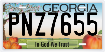 GA license plate PNZ7655