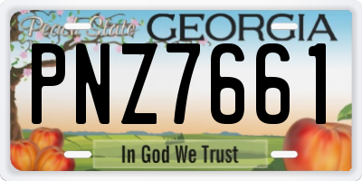 GA license plate PNZ7661