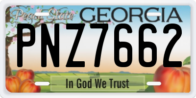 GA license plate PNZ7662