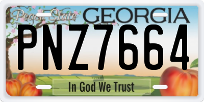GA license plate PNZ7664