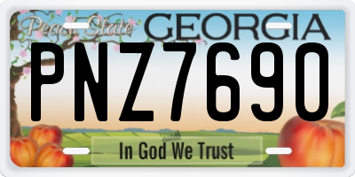GA license plate PNZ7690