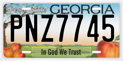GA license plate PNZ7745