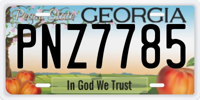 GA license plate PNZ7785
