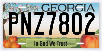 GA license plate PNZ7802