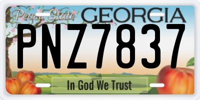 GA license plate PNZ7837