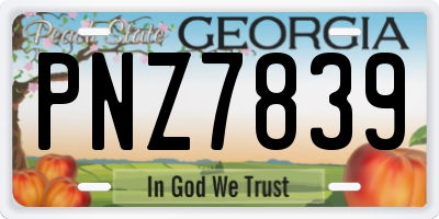 GA license plate PNZ7839