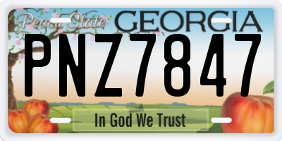 GA license plate PNZ7847