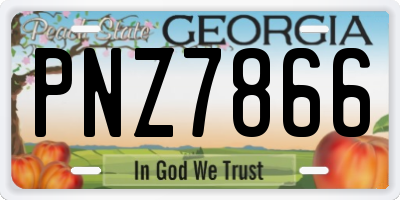 GA license plate PNZ7866