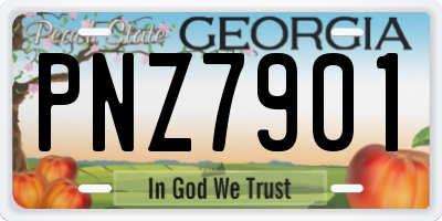 GA license plate PNZ7901