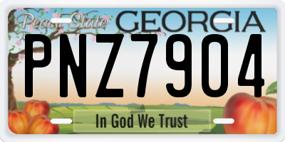 GA license plate PNZ7904