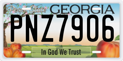 GA license plate PNZ7906