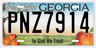 GA license plate PNZ7914