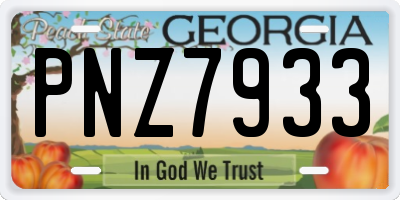 GA license plate PNZ7933