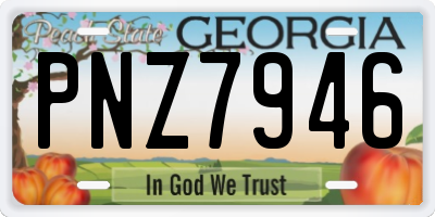 GA license plate PNZ7946