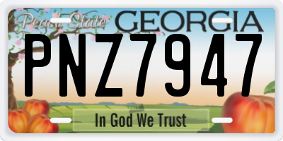 GA license plate PNZ7947