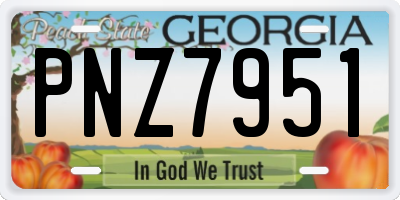 GA license plate PNZ7951