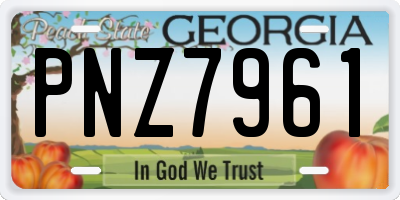GA license plate PNZ7961