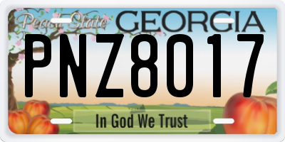 GA license plate PNZ8017