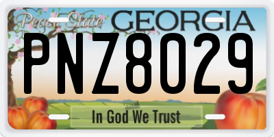 GA license plate PNZ8029