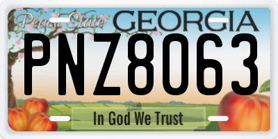 GA license plate PNZ8063