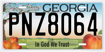 GA license plate PNZ8064