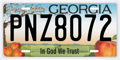 GA license plate PNZ8072