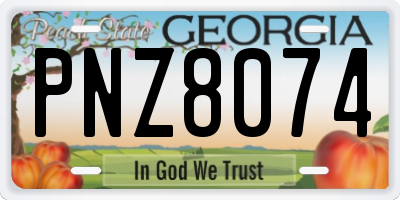 GA license plate PNZ8074