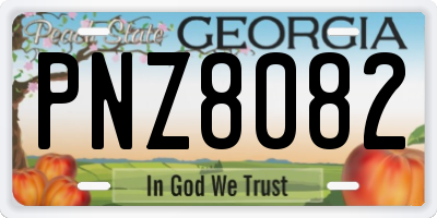 GA license plate PNZ8082