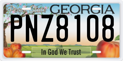 GA license plate PNZ8108