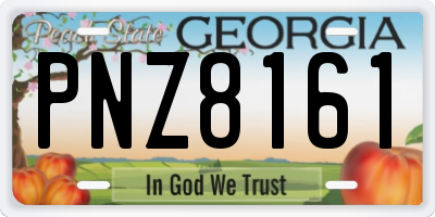 GA license plate PNZ8161