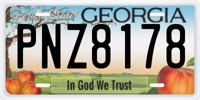 GA license plate PNZ8178