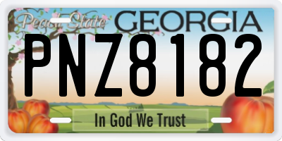 GA license plate PNZ8182
