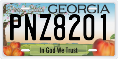 GA license plate PNZ8201