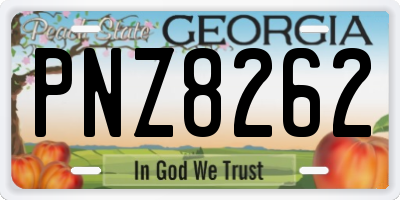 GA license plate PNZ8262