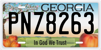 GA license plate PNZ8263