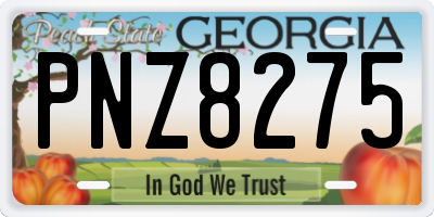 GA license plate PNZ8275