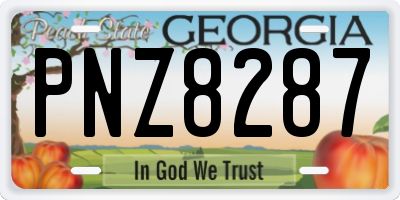 GA license plate PNZ8287
