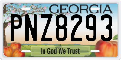 GA license plate PNZ8293