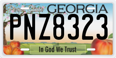 GA license plate PNZ8323