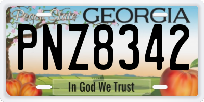 GA license plate PNZ8342