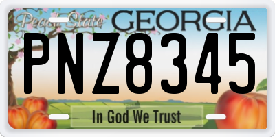 GA license plate PNZ8345