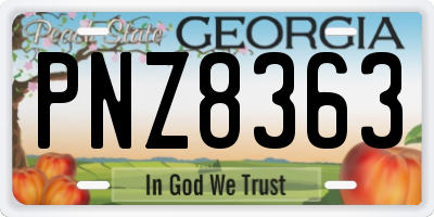 GA license plate PNZ8363