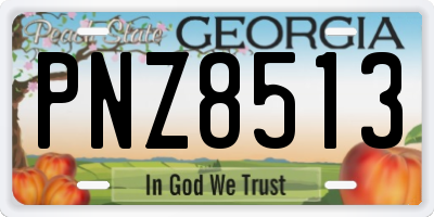 GA license plate PNZ8513