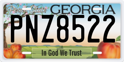 GA license plate PNZ8522