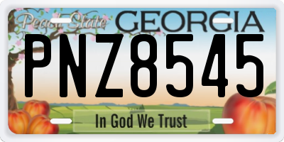 GA license plate PNZ8545