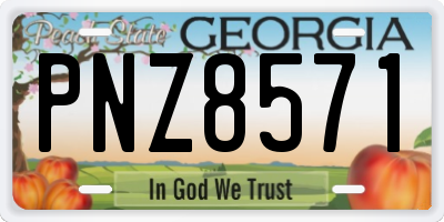 GA license plate PNZ8571