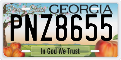 GA license plate PNZ8655