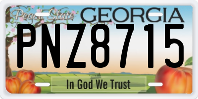 GA license plate PNZ8715